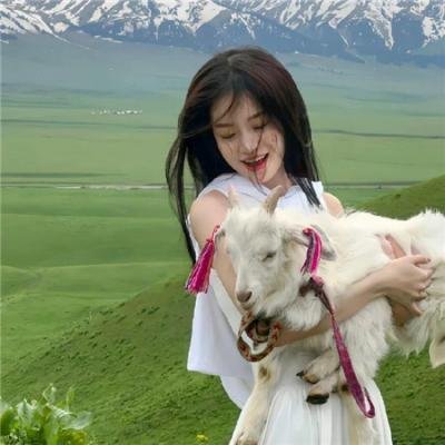 两只小猫的故事